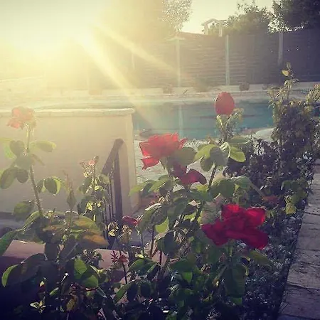 Terra Relaxa Διαμέρισμα